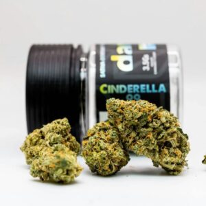 Buy Cinderella 99: A Sweet and Fruity Experience