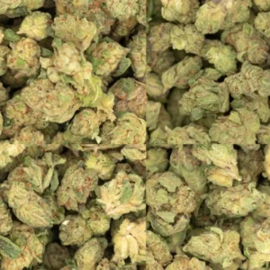 Buy weed in UAE discreetly-Fast delivery.