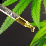 buy thc oil in abu dhabi