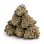Sativa strains