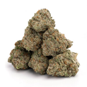 Buy Jack Herer: The Classic Sativa for Creativity