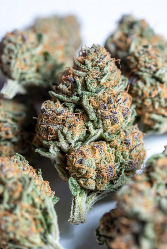 Buy Weed in Abu Dhabi